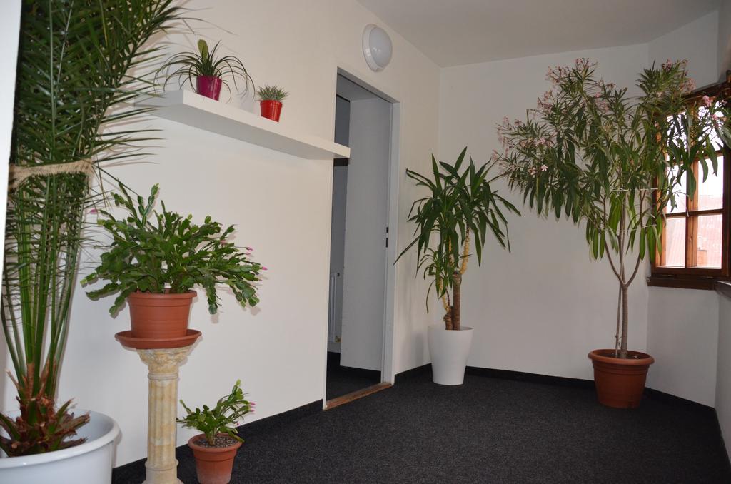 Guesthouse Zlaty Hrozen Česká Lípa Kültér fotó