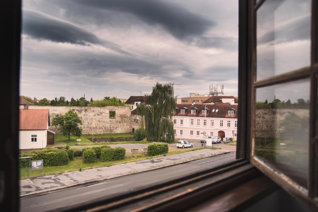 Guesthouse Zlaty Hrozen Česká Lípa Kültér fotó
