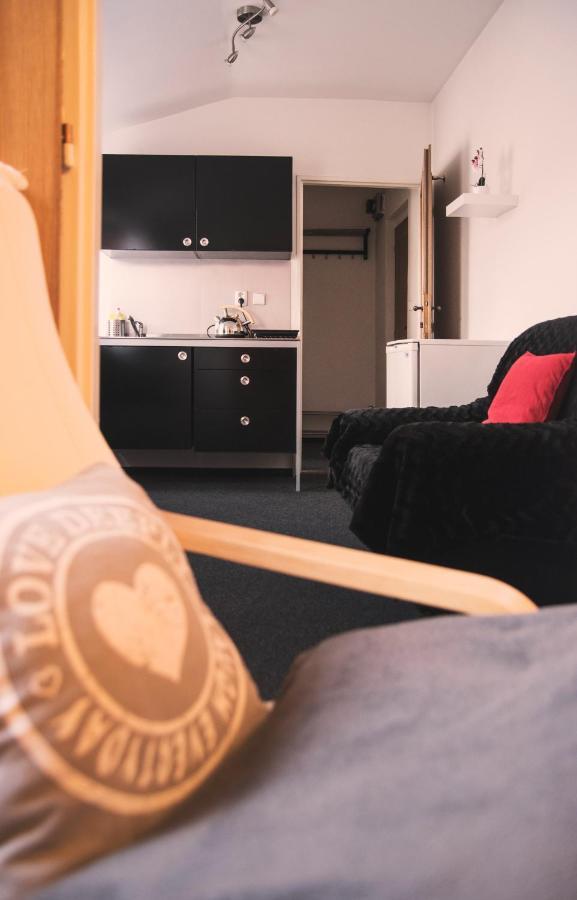 Guesthouse Zlaty Hrozen Česká Lípa Kültér fotó